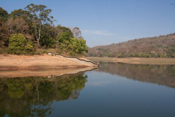istock Landscape of Periyar Tiger Reserve 963838412