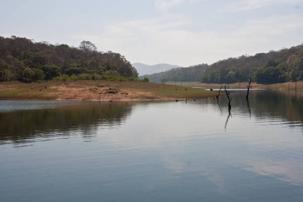 istock Landscape of Periyar Tiger Reserve 963838490