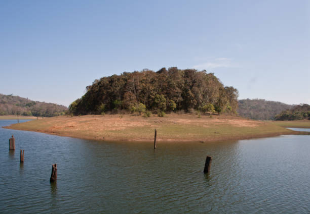 istock Landscape of Periyar Tiger Reserve 963838512