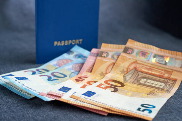 Blank dark blue passport with copy space and euro bills isolated on gray background Blank dark blue passport with copy space isolated on white background blue us passport cover stock pictures, royalty-free photos & images