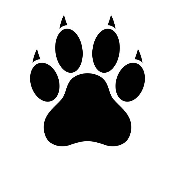Dog Paw Print Paw Icon Vector Illustration Stock Illustration - Download  Image Now - Paw Print, Dog, Wolf - iStock