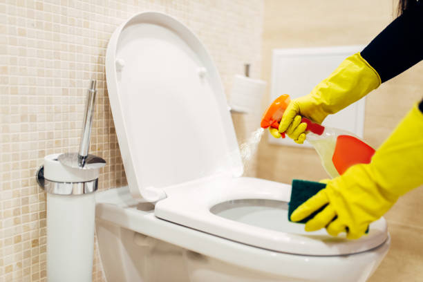 istock Maid cleans the bidet with a cleaning spray 963845006