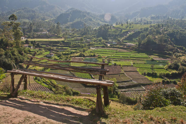 istock Lush green landscape of Munnar 963851154