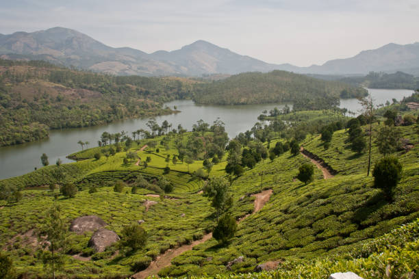 istock Landscape of Munnar Kerala 963851840
