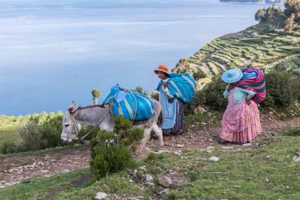 dos mujeres con una mula en la isla del sol (isla del sol), lago titicaca, bolivia. - donkey mule ass lake fotografías e imágenes de stock