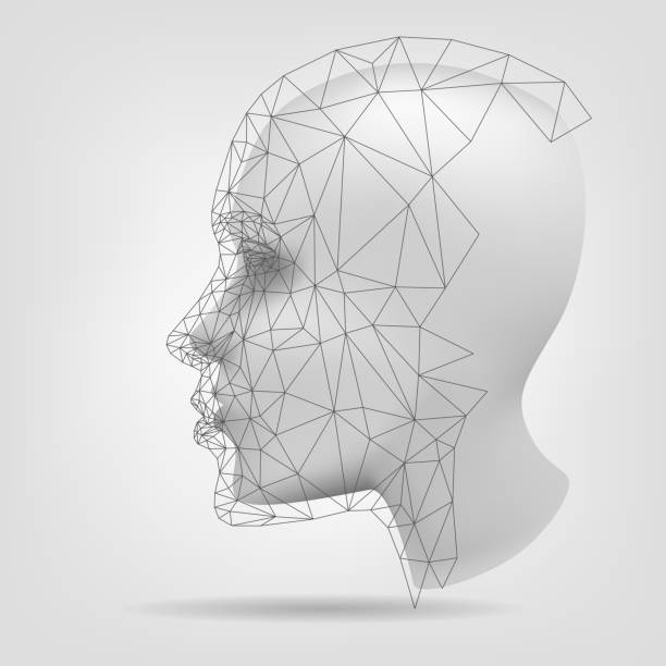 Stylized human head, 3d modeling Stylized human head on a white background, polygonal mesh, 3d modeling, biometric human head stock illustrations