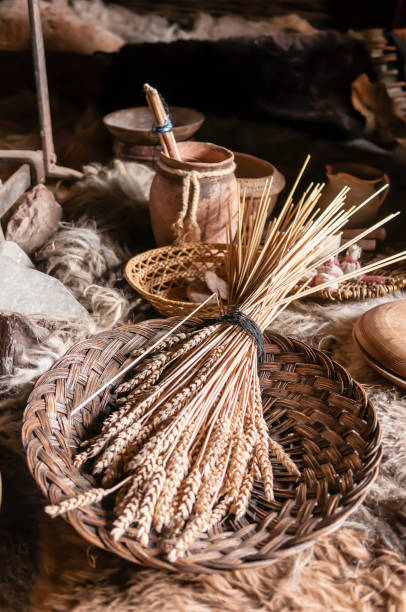 istock Bundle of wheat in a basket in a replica iron-age dwelling 963861436