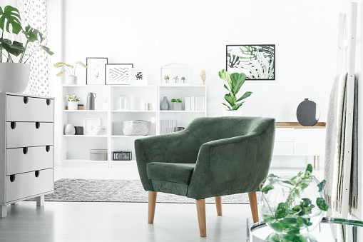 Green armchair in a white room interior with a commode, decorations on shelves and plants