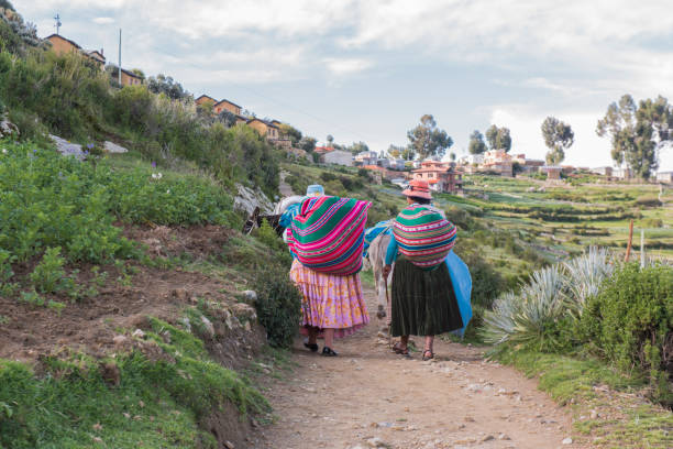 dos mujeres con una mula en la isla del sol (isla del sol), lago titicaca, bolivia. - donkey mule ass lake fotografías e imágenes de stock