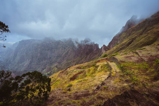 trekking-pfad am berg entlang mit grünen rasen bewachsen. berggipfel sind von nebel bedeckt. xo xo tal. insel santo antao, kap verde cabo verde - cliff at the edge of grass sea stock-fotos und bilder