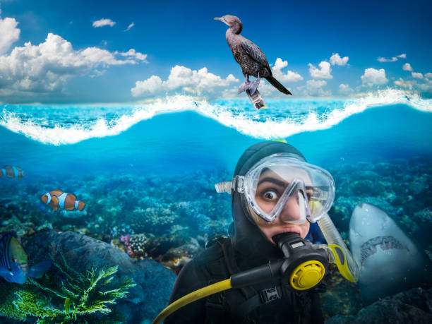 Female diver in wetsuit and diving gear gasps under water, bird sitting on a tube, underwater side view. Frogman in mask and scuba swims in the ocean