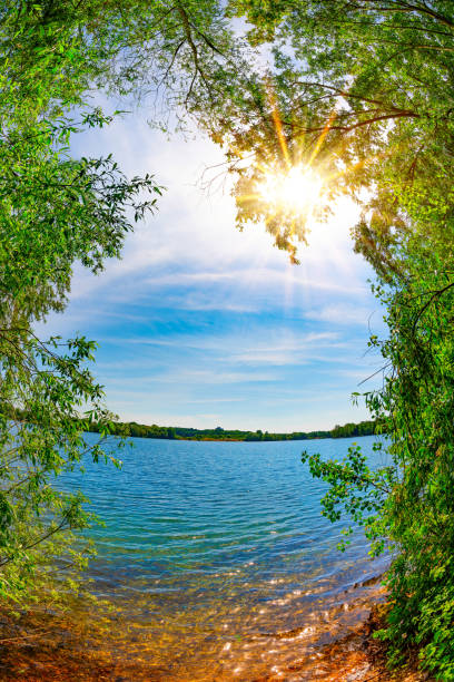 Beautiful landscape with lake and trees