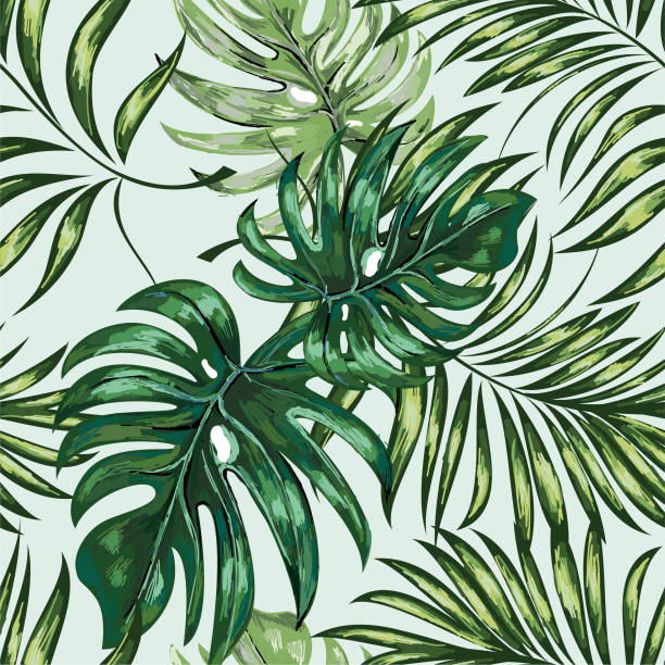 illustrations, cliparts, dessins animés et icônes de les profils sans soudure de palmier, feuilles de jungle. dessin à la main. - palm leaf frond leaf backgrounds