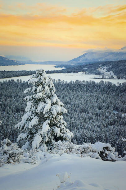 istock Winter Landscape at Sunset in Fairmont Hot Springs 963889730