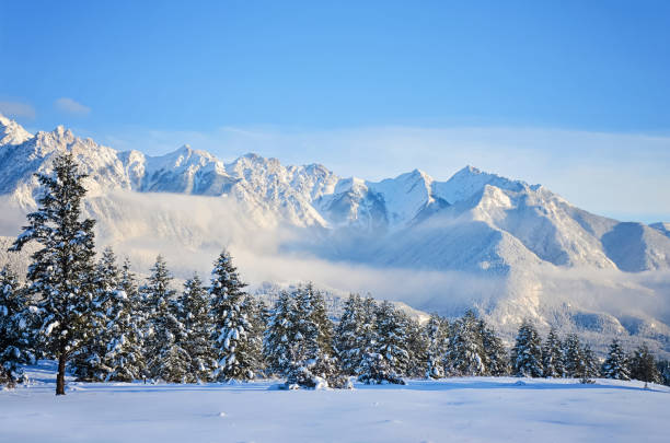 istock Fairmont Mountain Range Landscape in Winter 963889874