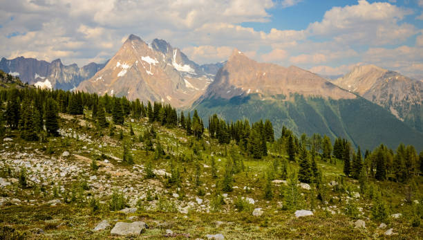 istock Jumbo Pass Mountain Landscape British Columbia Canada 963890138