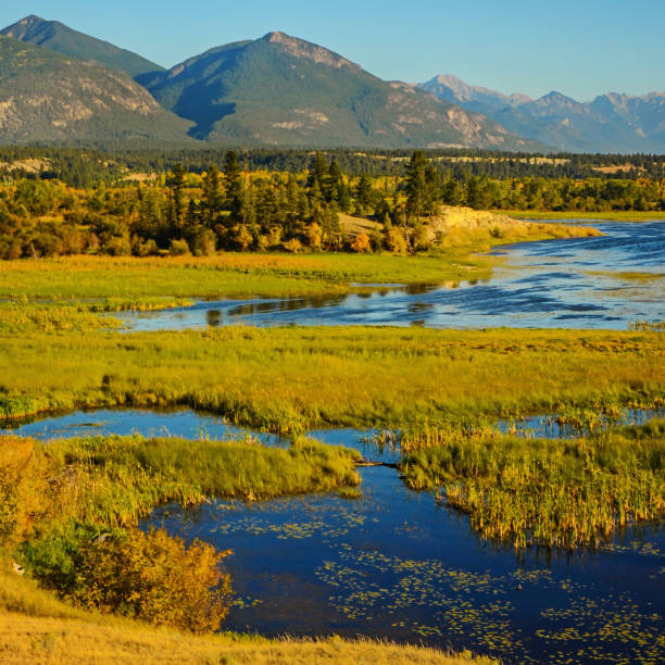 istock The Columbia Wetlands in Fall or Autumn 963890618