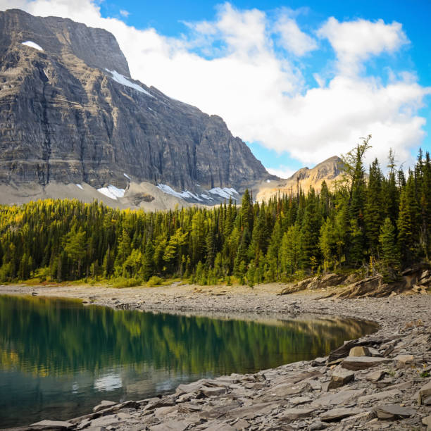 floe lake in kootenay national park british columbia - floe lake imagens e fotografias de stock