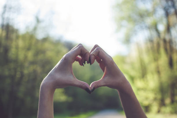 istock Girl making a heart shape gesture against sunny green background. 963893472