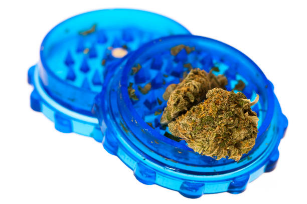istock Two buds of herbal marijuana in a plastic grinder 963907940