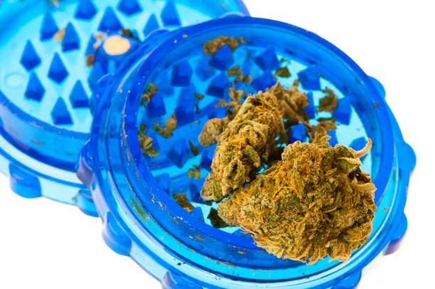 istock Two buds of herbal marijuana in a plastic grinder 963907944