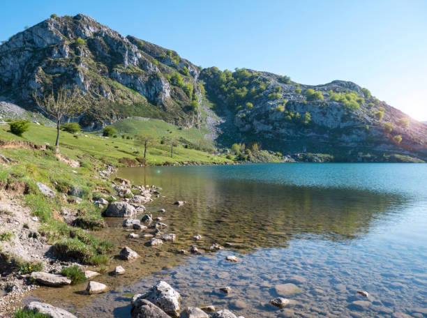 istock Alpine mountain lake landscape near Covadonga 963914504
