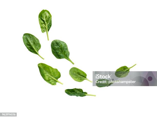 Flying Heap Of Green Spinach Leaves Stock Photo - Download Image Now - Spinach, Cut Out, Flying