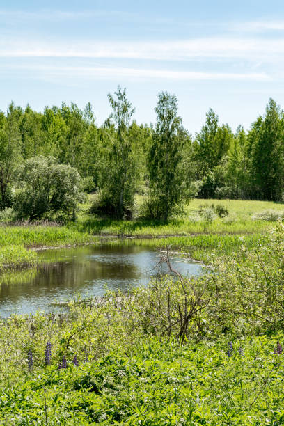 istock a view of the river and a blue sky with clouds, summer sunny day 963924398