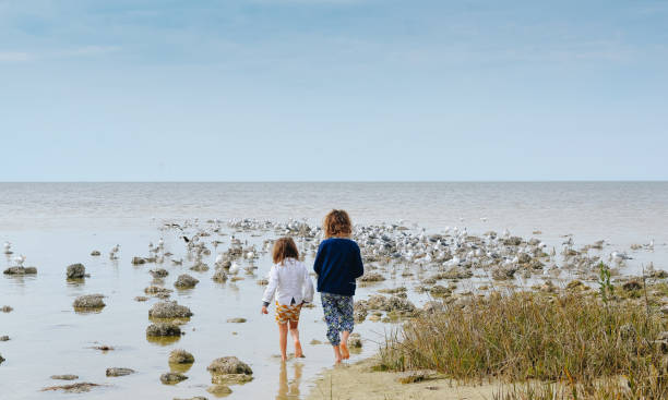 istock Seascape and Sisterhood 963938714