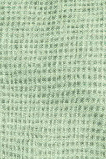 istock Hessian sackcloth woven texture pattern background in light pale green earth color 963938870