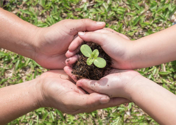 Family tree planting and world environment day concept with young child kid and parent mother's or father's hands holding and protecting small plant seedling on soil together Family tree planting and world environment day concept with young child kid and parent mother's or father's hands holding and protecting small plant seedling on soil together Arbor Day stock pictures, royalty-free photos & images