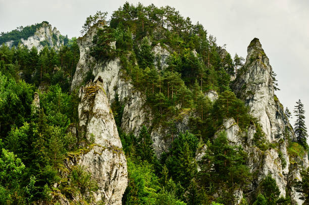 istock Rocky slopes of mountains 963941526