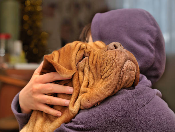 Loving a Dog stock photo