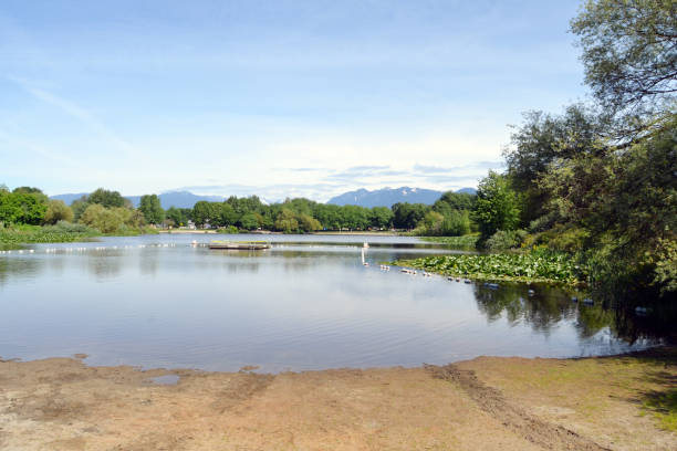 Trout Lake in Vancouver Looking North from the beach at Trout Lake in Vancouver, B.C. trout lake stock pictures, royalty-free photos & images