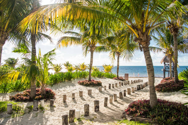 istock tropical paradise beach for summer vacation 963970834