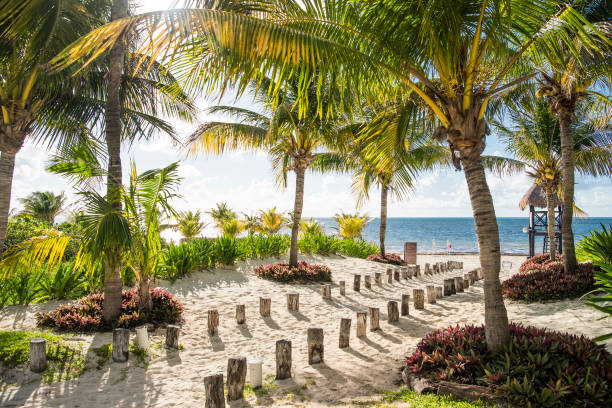 istock tropical paradise beach for summer vacation 963970842
