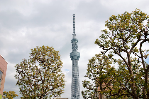 The Tokyo Skytree is a television broadcasting tower and landmark of Tokyo. It is the centerpiece of the Tokyo Skytree Town in the Sumida City Ward