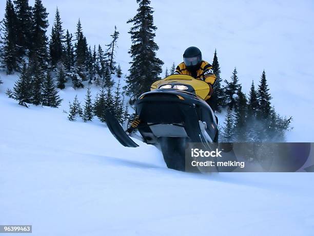 Scattosci Doo - Fotografie stock e altre immagini di Andare in motoslitta - Andare in motoslitta, Labrador, A mezz'aria