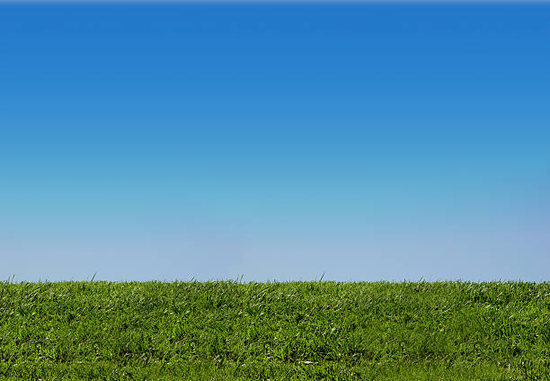 istock Background of sky and grass 96399898