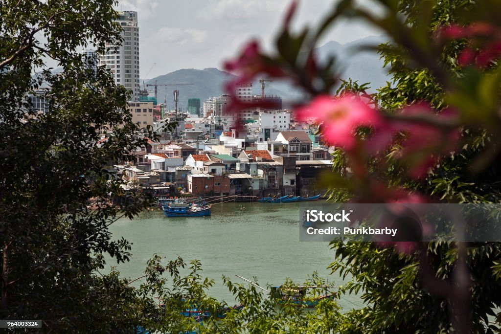 Vietnamese town Nha Trang beautiful cityscape Looking through blossoming foliage at Asian city on a river Architecture Stock Photo