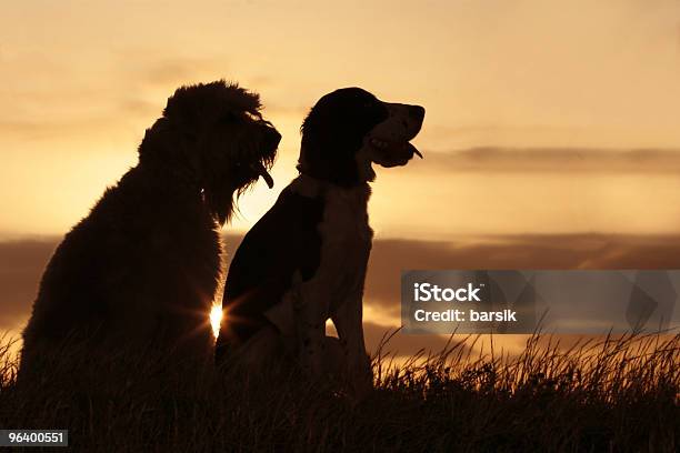 Amigos En La Puesta De Sol Foto de stock y más banco de imágenes de Blanco y negro - Blanco y negro, Cielo dramático, Colina