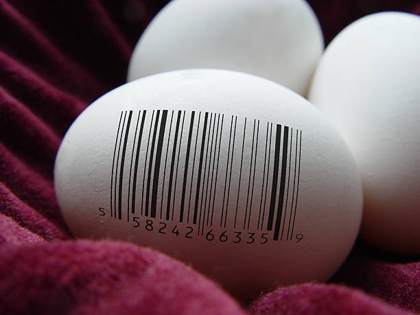Future of the Egg stock photo