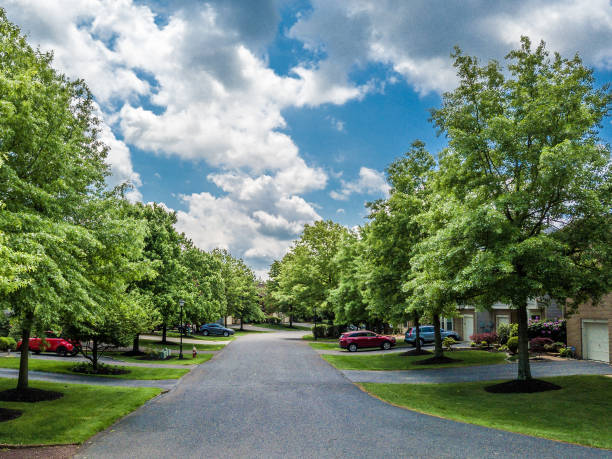 istock Quiet street in small american town 964005854
