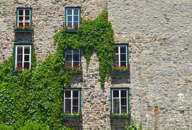 Quebec City Quebec Canada June 27 2015:  Vine Covered Historic Building in Old Quebec