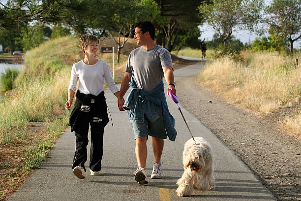 Couple walking their dog stock photo