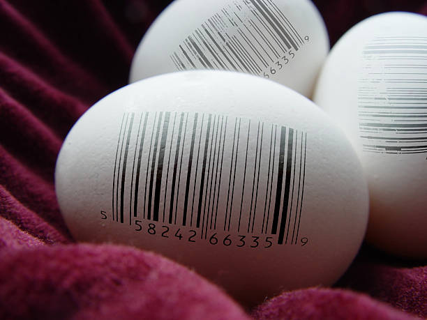 Chick Code Chicken Code Stock Photos, Pictures & Royalty-Free Images - iStock