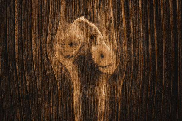 Close up of dark brown wood texture with natural striped pattern for background, wooden surface for add text or design decoration art work