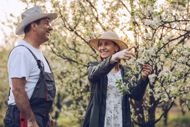 istock Daughter and dad in orchard 964021580