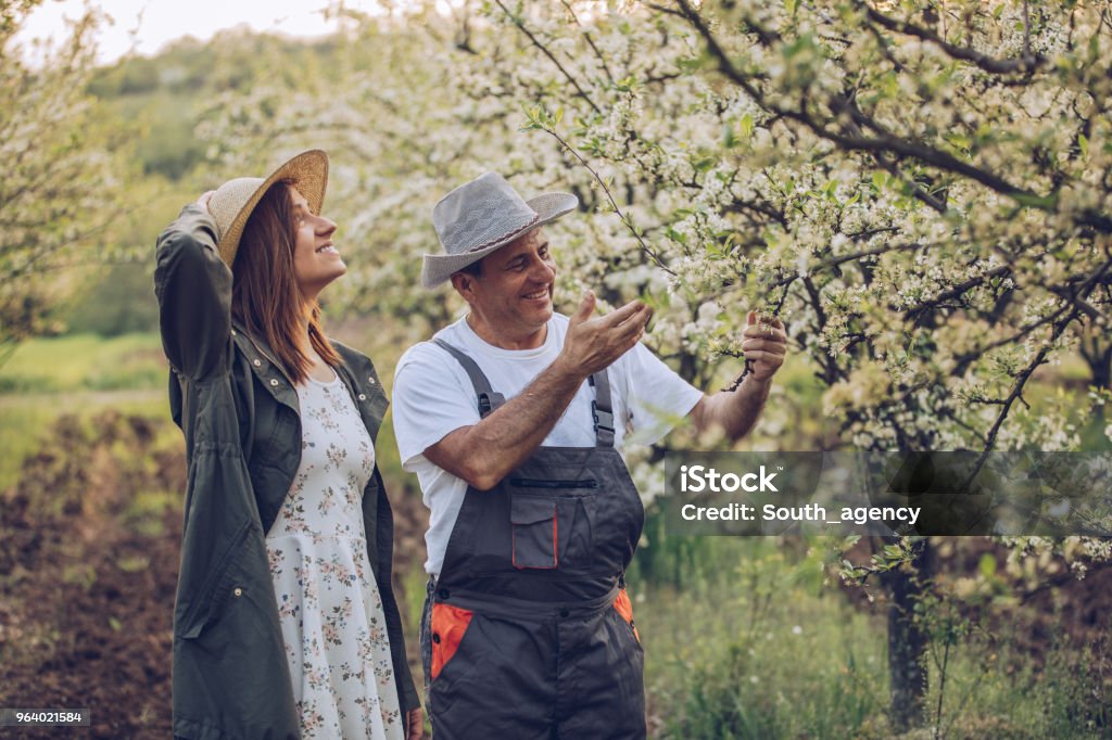 Daughter and dad together Man and woman, father and grown up daughter in orchard. Active Seniors Stock Photo