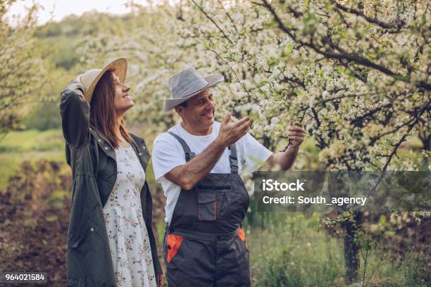 Daughter And Dad Together Stock Photo - Download Image Now - Active Seniors, Adult, Agriculture